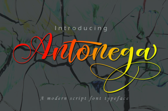 Antonega: A Elegant Script for Branding
