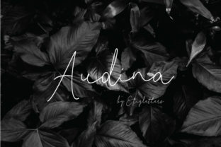 Audina: A Stylish Script for Creative Projects