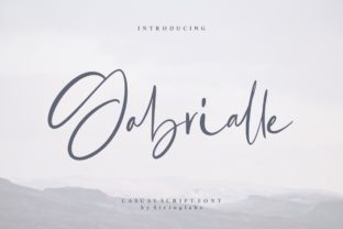 Beautiful Script Font for Branding