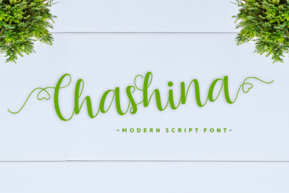 Chashina: A Beautiful Handwritten Font