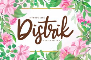 Distrik: A Font That Speaks Volumes