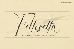 Fellisetta: A Beautiful Script for Business