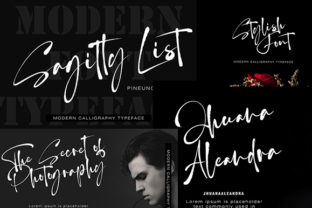Sagitty List: A Bold Handwritten Font