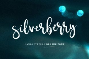 Silverberry: A Classy Script Font