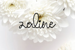 Zaline: A Sweet Script Font for Business